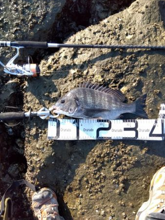 いや…なぜかつれ続ける本日