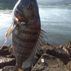 いや…なぜかつれ続ける本日