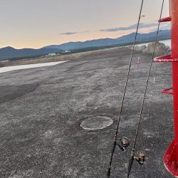 シマアジングとネイリング