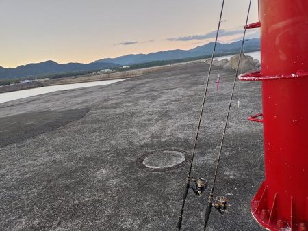シマアジングとネイリング