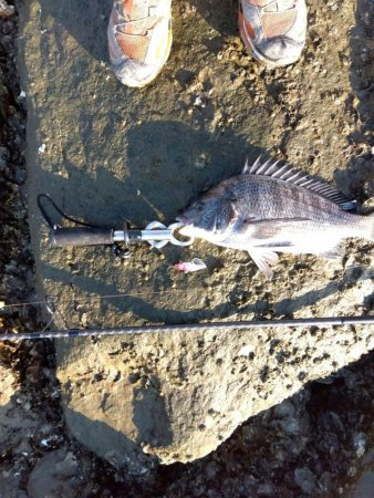 いや…なぜかつれ続ける本日