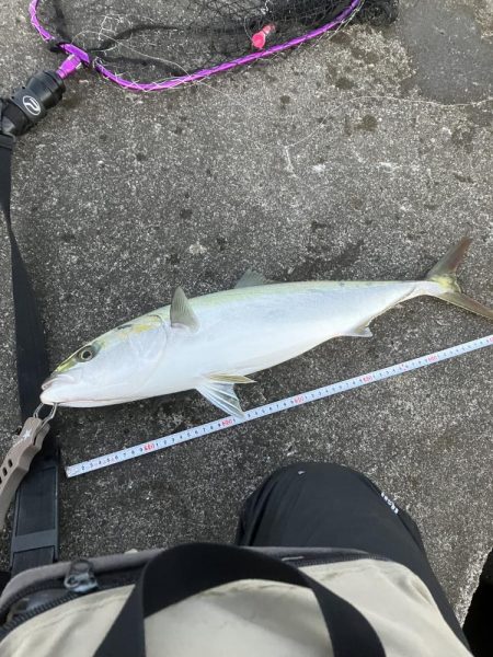 ギリギリ獲れた