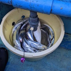 二回目の船タチウオテンヤ