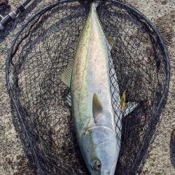 悲劇からの奇跡