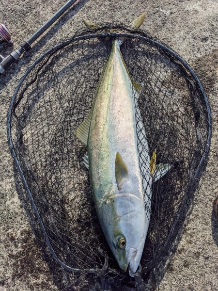 悲劇からの奇跡