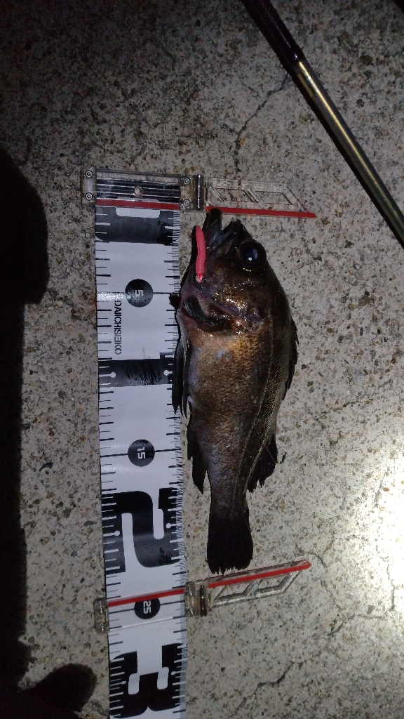 フロートメバリング