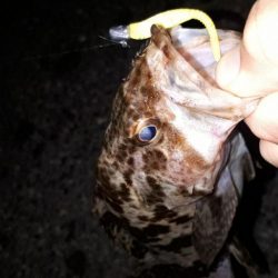 早くもロック時代か-w