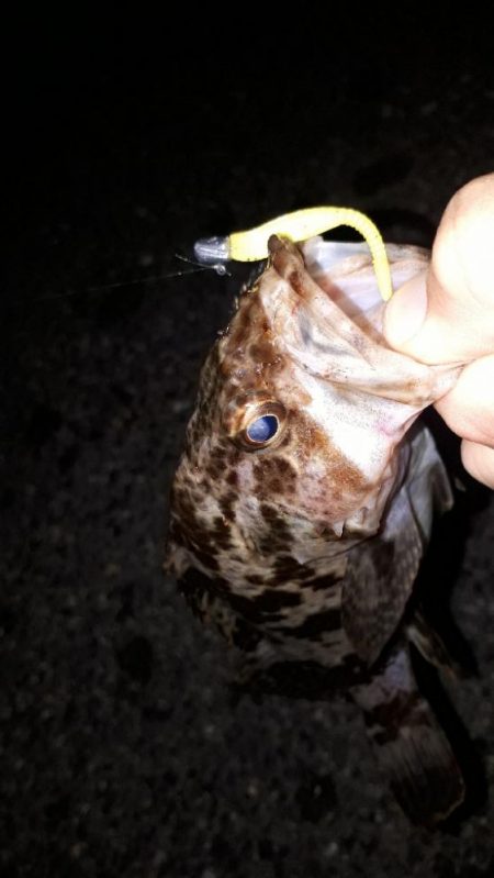 早くもロック時代か-w