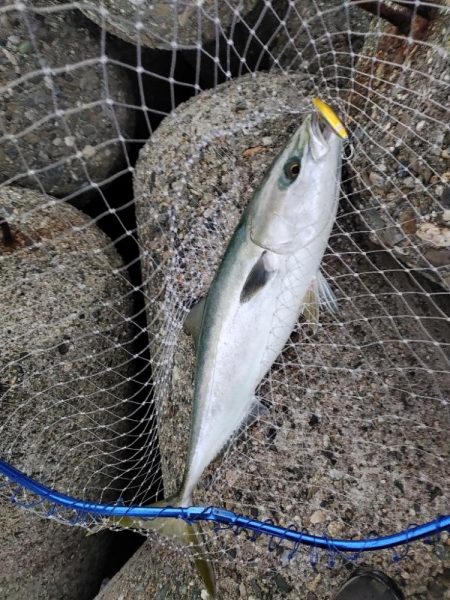 ショアジギング