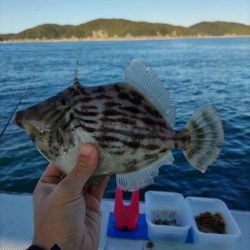 尺超えは難しい