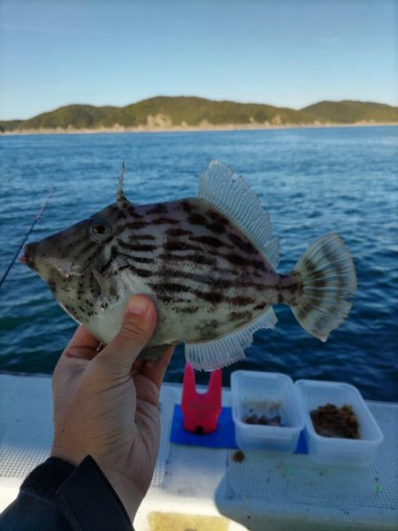 尺超えは難しい