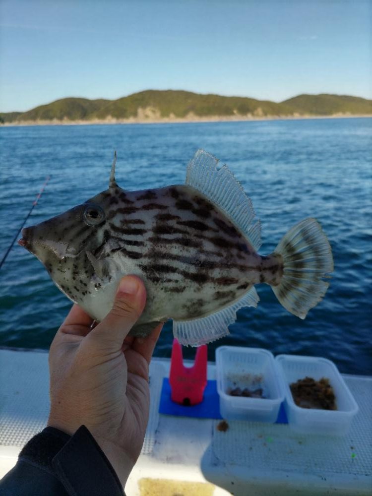 尺超えは難しい