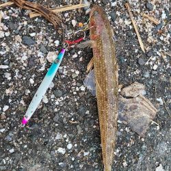 いつもやつが…