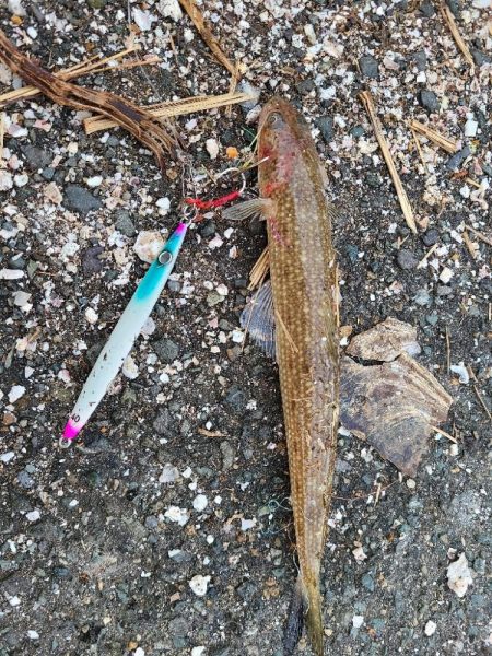 いつもやつが…