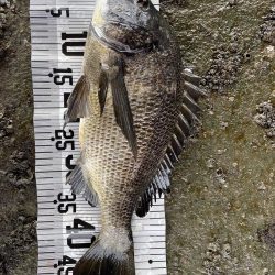 イチノ兄弟（兄）釣果！