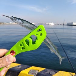 大きくなりました