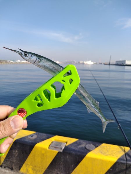 大きくなりました