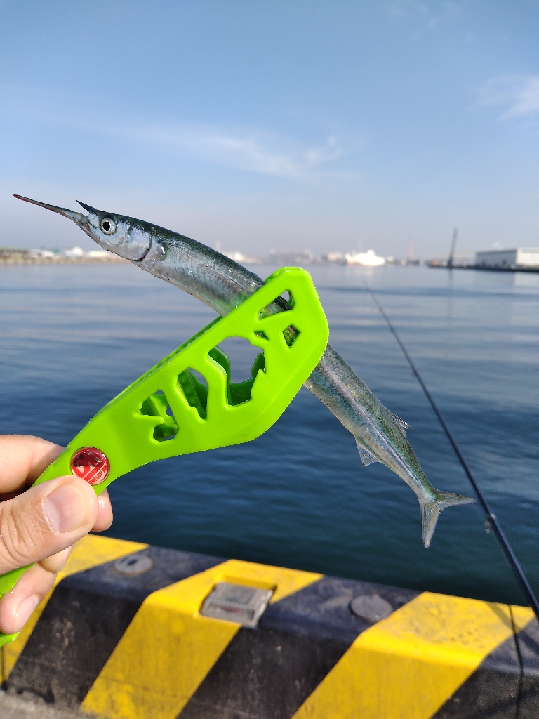 大きくなりました