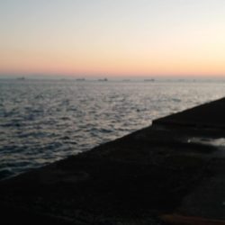 チーバスでも釣れる