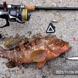 お久しぶりです