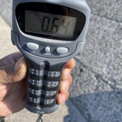 エギング〜ジギング