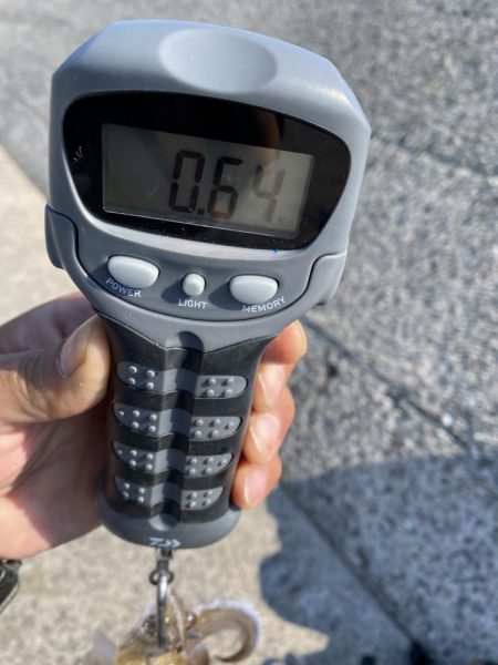 エギング〜ジギング