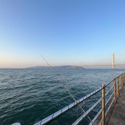 魚もピーカン照り