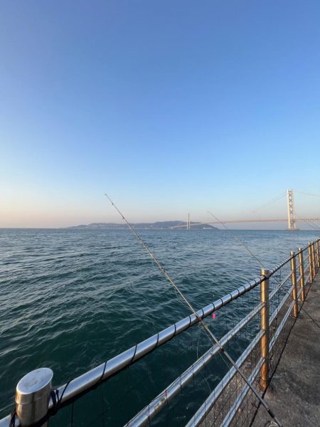 魚もピーカン照り