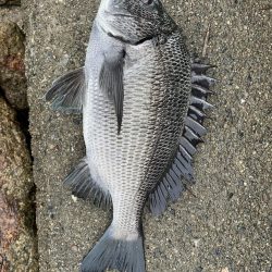 イチノ兄弟(兄)釣果!