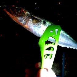 夜明けまでが勝負