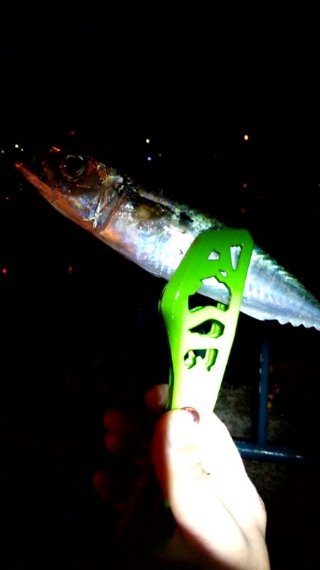 夜明けまでが勝負