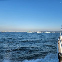 ブリ、太刀魚 ジギング行ってきました。