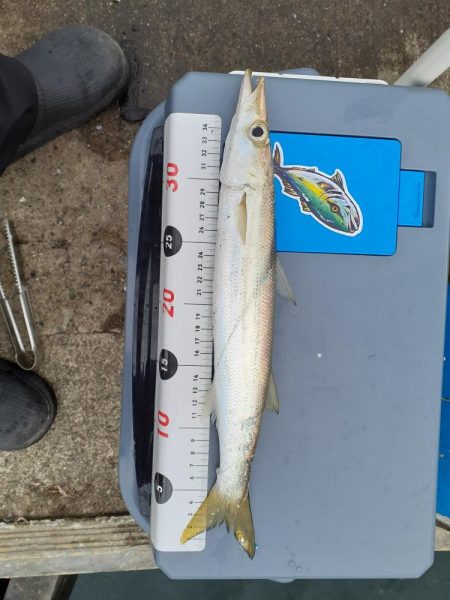 冷たい雨の釣り