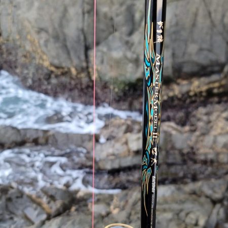 和歌山県大引　アシカの子