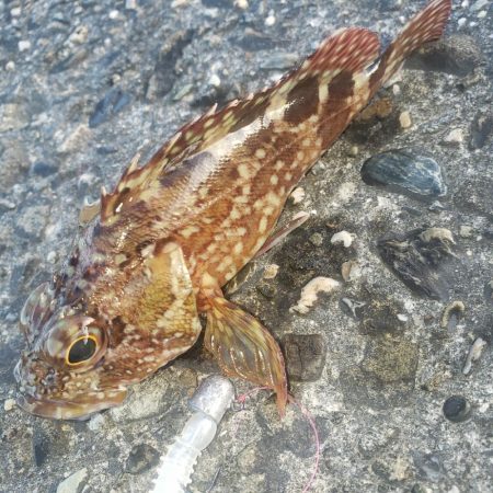 16時待ち合わせ！