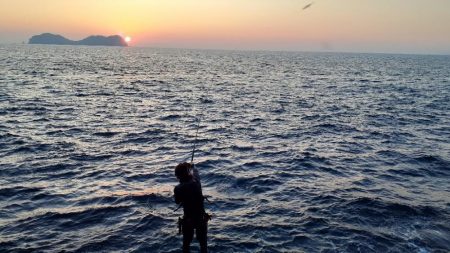 渋い磯釣りイカに癒され