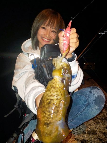 ライトゲームでアオリイカ、カマス、アジ！