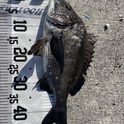 イチノ兄弟(兄)釣果!