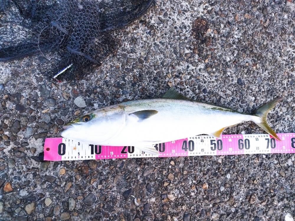 久しぶりのホーム戦