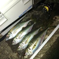 (尺アジ)フロートゲーム~