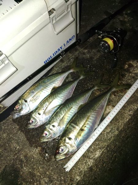 (尺アジ)フロートゲーム～