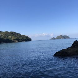 イカを求めてエギング