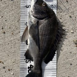 イチノ兄弟（兄）釣果！