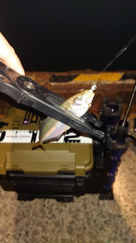 時間帯が難しいね