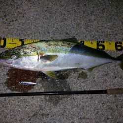 夕暮れのプチsalt water game