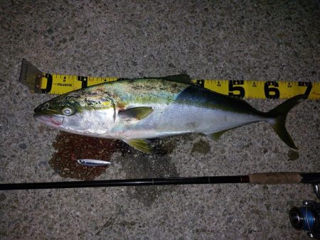 夕暮れのプチsalt water game…