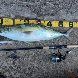 プチsalt water game