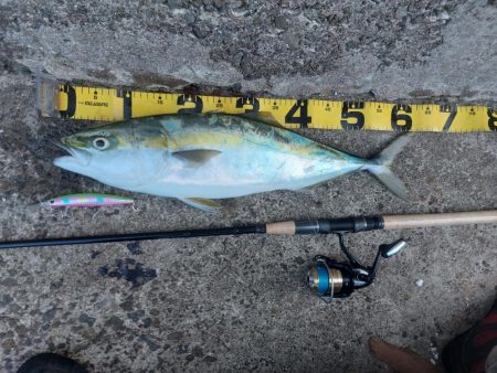 プチsalt water game