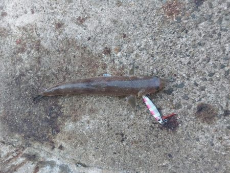 プチsalt water game