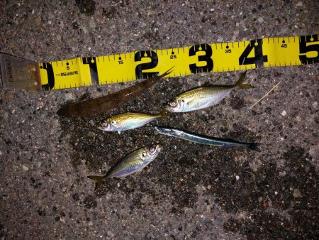 プチファミリーフィッシング　GAME